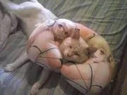 Hướng nội trầm tính