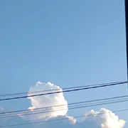 meowwz
