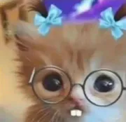 ôi gay vú bự ứ ứ ứ