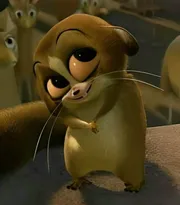 top lùn ngon vãi lol