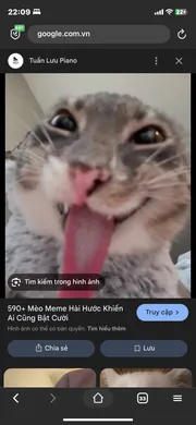 lm đàn ông mang bầu 