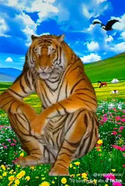 Bật nắp quan tài nói lời yêu a