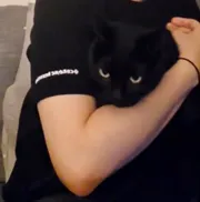 NIÊN HẠ MÃI NGON