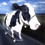 hjhjj