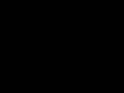 chó điên