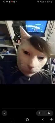Sjdbbfjsie