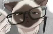 meoaihoi