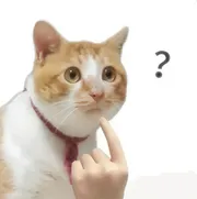 shốy kô độk