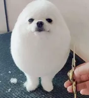 songdenhincontraiyeunhau 