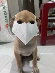 Phivolilataoday 
