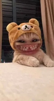 kkkkk