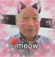 tokuda meo meo 