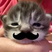 Cristiano Runie