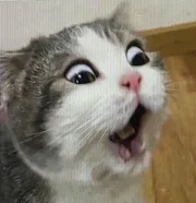 Me BL