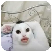 Sói hoang cô độc