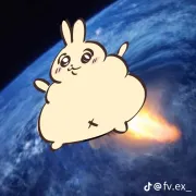 mitmit