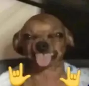 Ejje