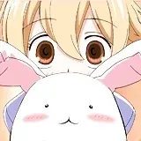 Rabbit Bloom Team