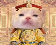 nờ hy