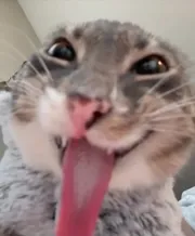 Hehehe 