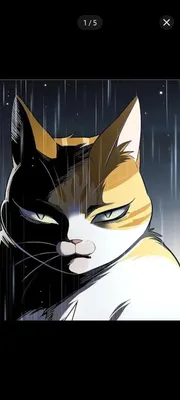 Meo heo nái chơi dái trai anime
