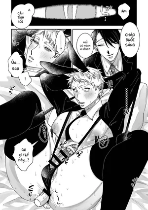 Tổng hợp boylove 18+