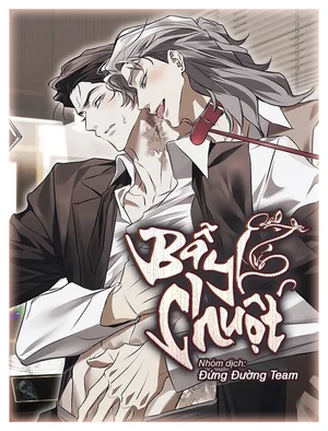 BẪY CHUỘT