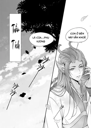 Trầm tích